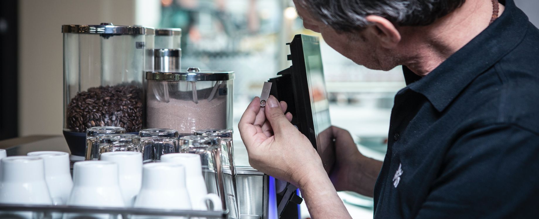 primulator toppbilde